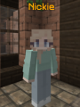 Thumbnail for version as of 15:27, 19 April 2021